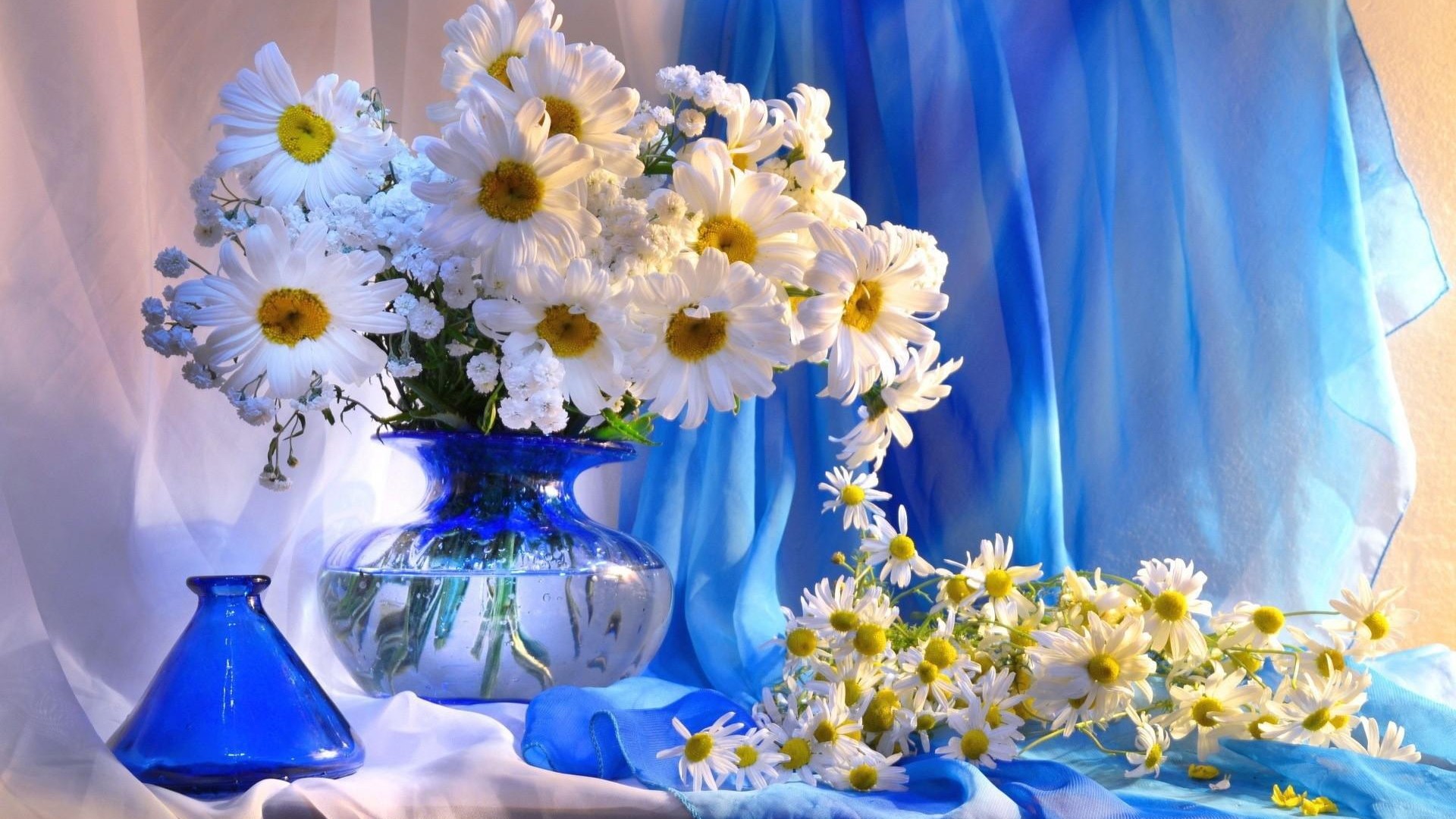 1920x1080 daisy vase flowers bouquet decoration