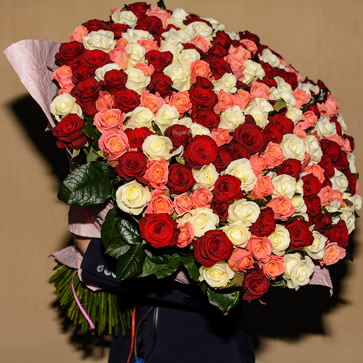 bolshoy buket 201 rozy royal flowers opti 720x720